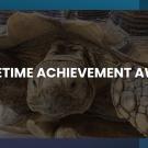 turtle with "lifetime achievement award"