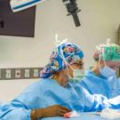 veterinarians in surgery