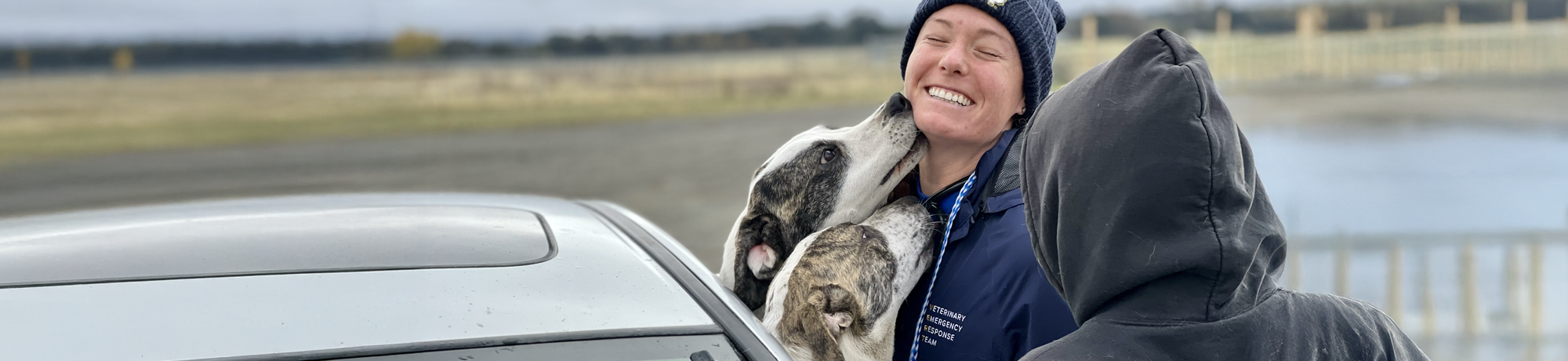 Two dogs showing affection to a veterinarian through an open car window.
