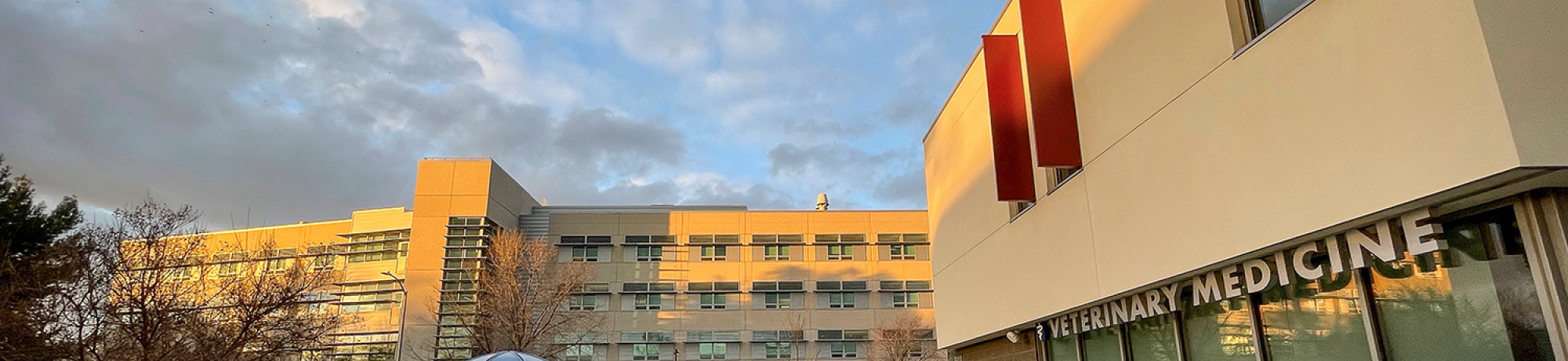 Veterinary Medicine Admin Building